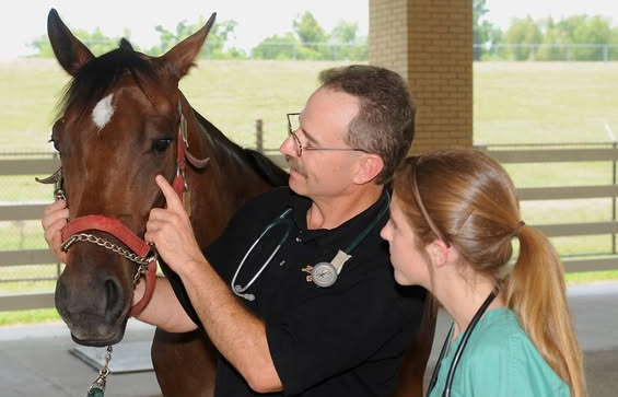 Dr. Dan Burba Baton Rouge, LA Obituary – Cause of Death: LSU Vet Med Professor and Mentor Dies at Oklahoma Farm